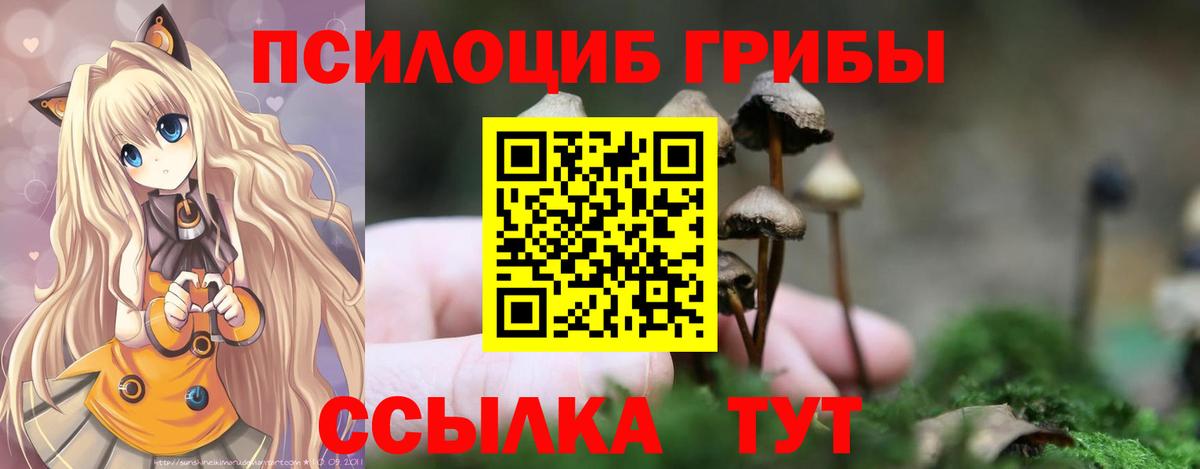 Псилоцибиновые грибы прущие грибы  Вход с VPN  Владикавказ  Галлюциногенные грибы MAGIC MUSHROOMS 